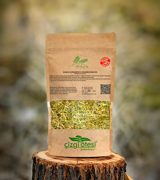 ÇOBAN ÇÖKERTEN (DEMİR DİKENİ) 70 gr.