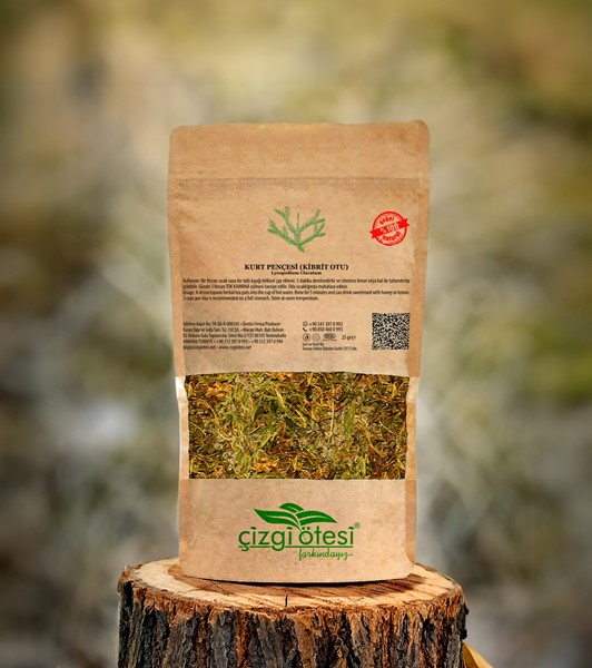 KURT PENÇESİ (KİBRİT OTU) 25 gr.